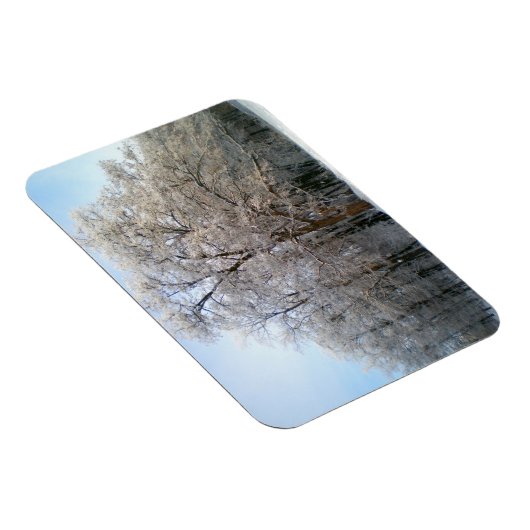 冬の森2012年12月 マグネット (右側)