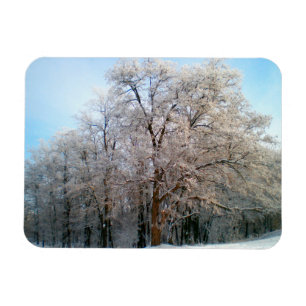 冬の森2012年12月 マグネット
