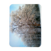 冬の森2012年12月 マグネット (縦)