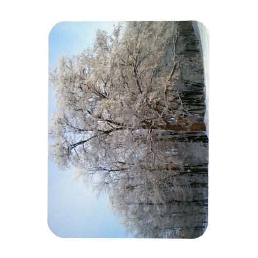 冬の森2012年12月 マグネット (縦)