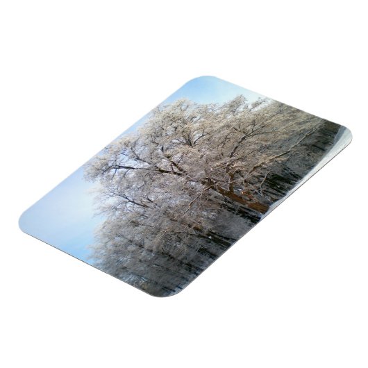 冬の森2012年12月 マグネット (左側)