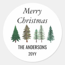 冬の森 エレガントな松の木 クリスマス