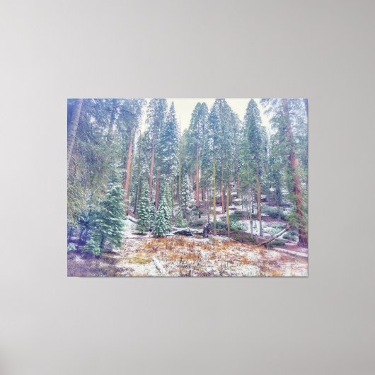 冬の森 キャンバスプリント (正面)