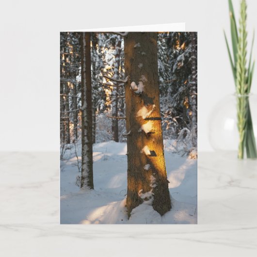 冬の森 シーズンカード (正面)