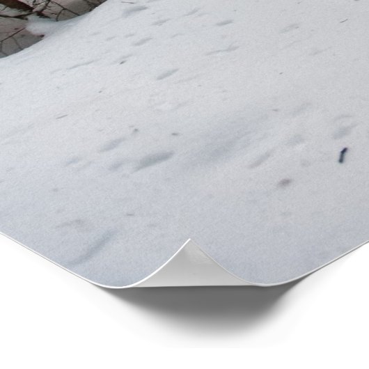 冬の森 ポスター (角)