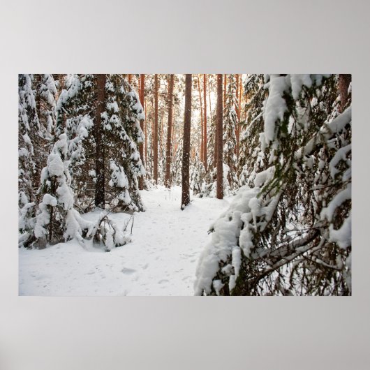 冬の森 ポスター (正面)