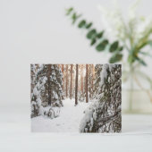 冬の森 ポストカード (スタンド正面)