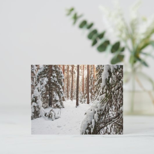 冬の森 ポストカード (スタンド正面)