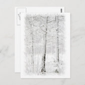 冬の森 ポストカード (正面/裏面)