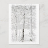 冬の森 ポストカード (正面)
