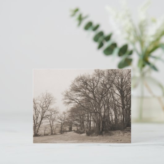 冬の森 ポストカード (スタンド正面)