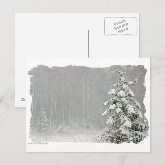 冬の森 ポストカード (正面/裏面)