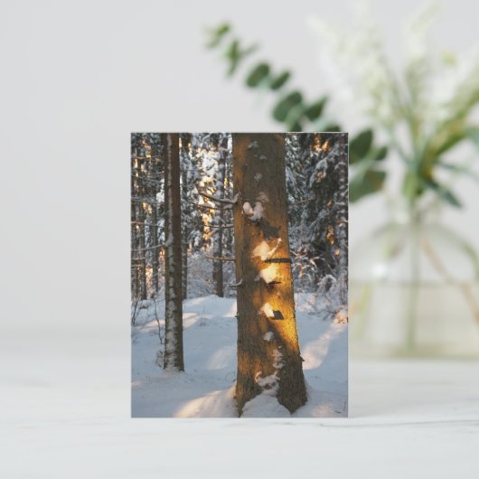 冬の森 ポストカード (スタンド正面)
