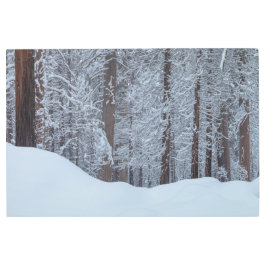 冬の森 メタルプリント