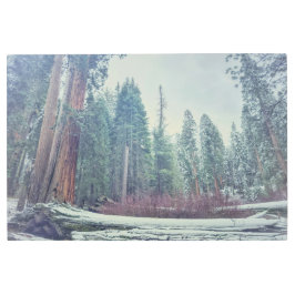 冬の森 メタルプリント