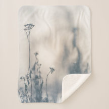 冬の植物の自然写真