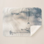 冬の植物の自然写真 シェルパブランケット (正面(横))