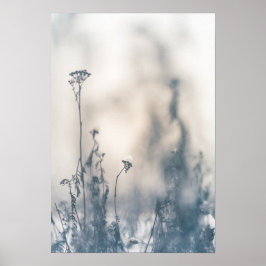 冬の植物の自然写真 ポスター