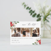 冬の植物フローラ写真 ポストカード (スタンド正面)