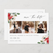 冬の植物フローラ写真 ポストカード (正面/裏面)