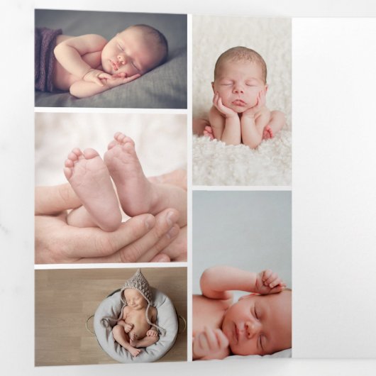 冬の植物学エレガントのクリスマス数々の写真 三つ折り招待状 (内部最初)