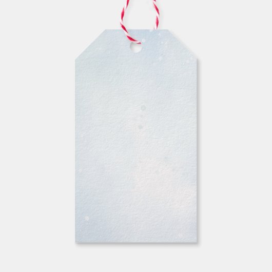 冬の極地テディベア男の子ベビーシャワー ギフトタグ (裏面)