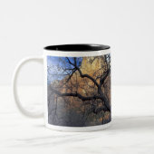 冬の樫の木、家父長の宮廷 ツートーンマグカップ (左)