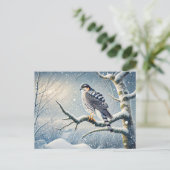 冬の樺の木に止まる鷹 シーズンポストカード (スタンド正面)