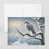 冬の樺の木に止まる鷹 シーズンポストカード (正面/裏面)