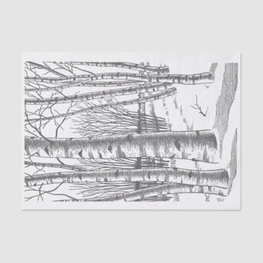 冬の樺の木の木 薄葉紙 (正面)