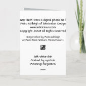 冬の樺の木 カード (裏面)