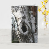 冬の樺の木 カード (黄色い花)