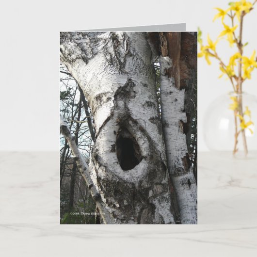 冬の樺の木 カード (黄色い花)