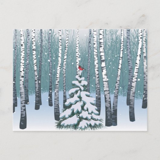 冬の樺の木 ポストカード (正面)