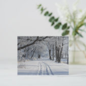 冬の歩く歩道 ポストカード (スタンド正面)