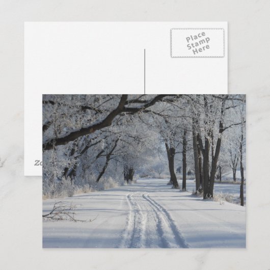 冬の歩く歩道 ポストカード (正面/裏面)