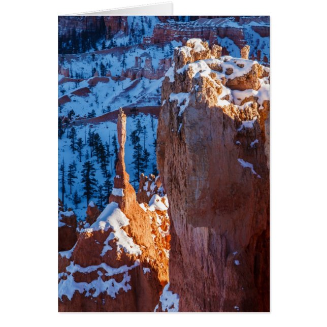 冬の歩哨 (正面)