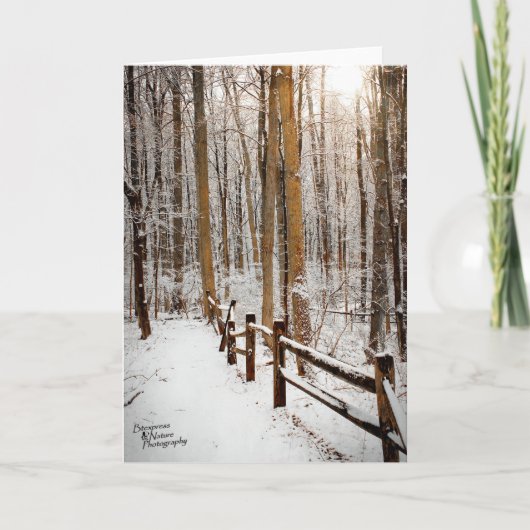 冬の歩行(5.0) シーズンカード (正面)