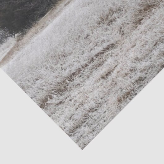 冬の死に捨てられた古い家 薄葉紙 (詳細)