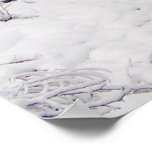 冬の死 ポスター (角)