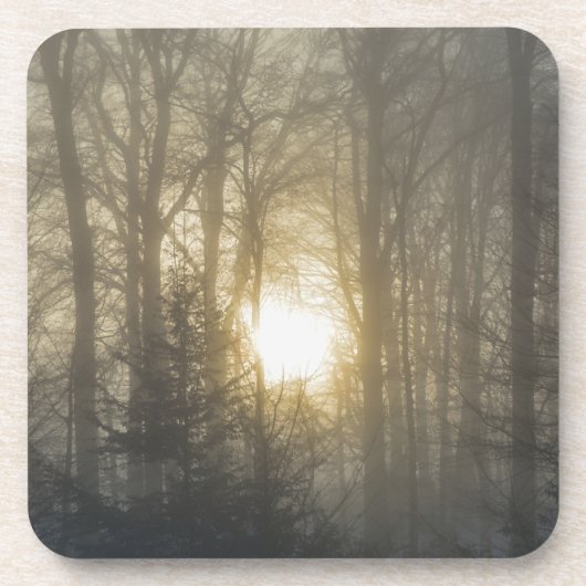 冬の気分 コースター (正面)