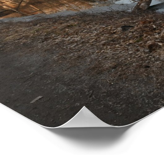 冬の水景の反射ポスター ポスター (角)