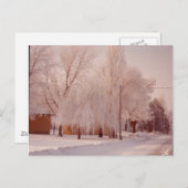 冬の氷はがき ポストカード (正面/裏面)