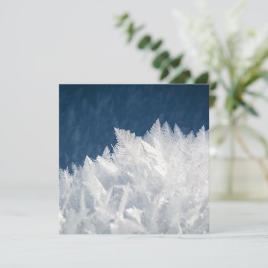 冬の氷結晶 カード (スタンド正面)