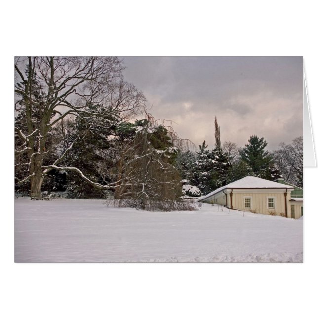 冬の波の丘 (正面横)