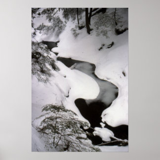 冬の流れ ポスター