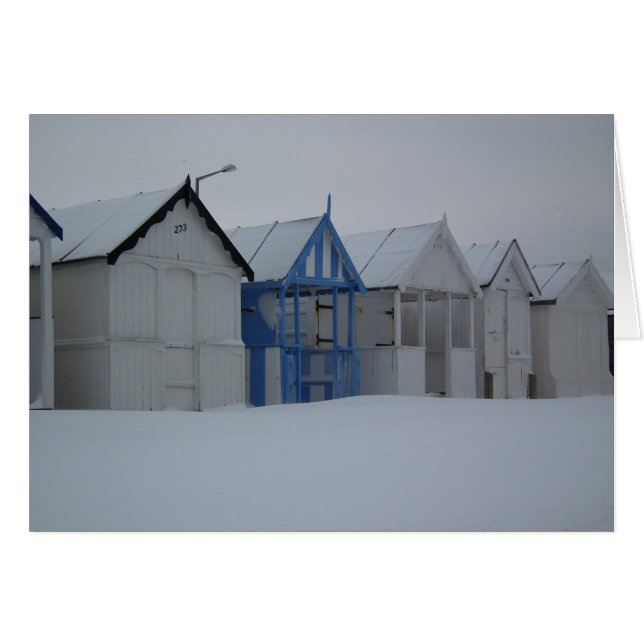 冬の海岸 (正面横)