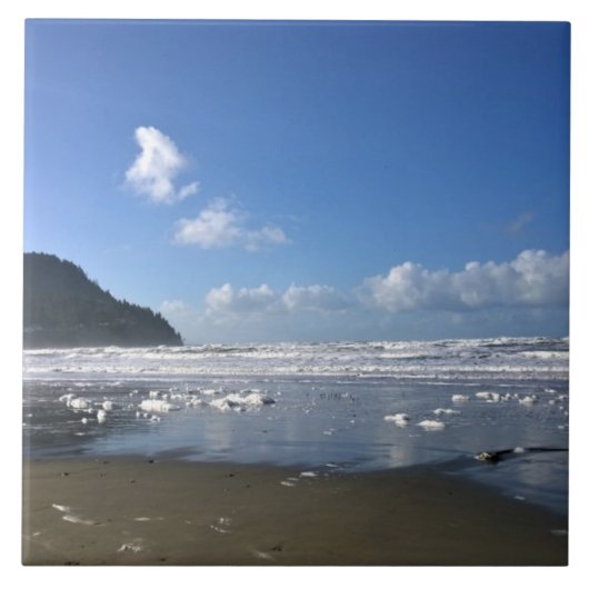 冬の海辺 タイル (正面)