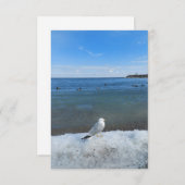 冬の湖でカモメ (正面/裏面)