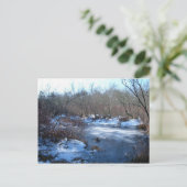 冬の湿地の池 ポストカード (スタンド正面)